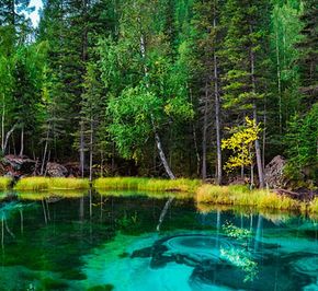 Алтайский край