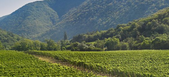 Краснодарский край