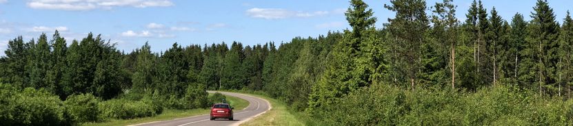 Даниловичский