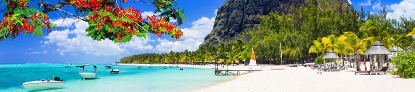 Шемен-Гренье