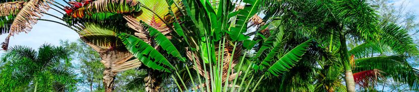 Сиануквиль